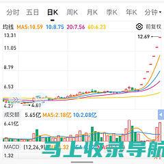 独家评测：最受信赖的几家SEO推广公司对比与解析